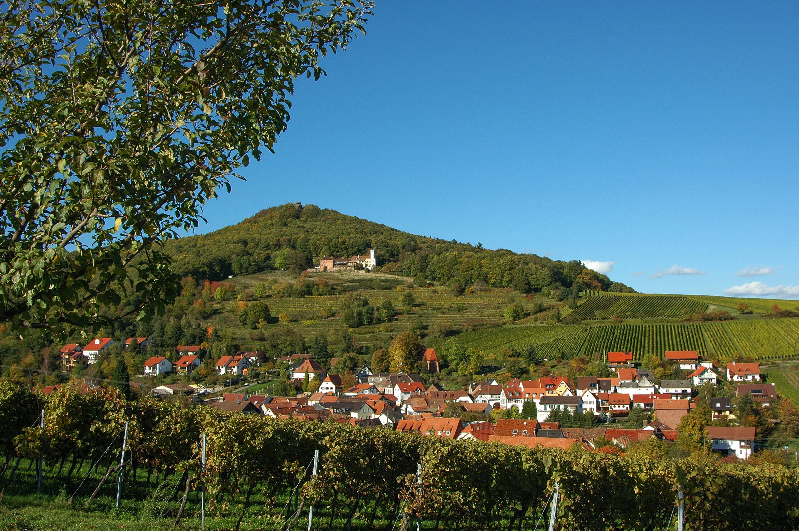 Finden Sie Ihre Traumimmobilie im Herzen der Pfalz GENSHEIMER hoch3